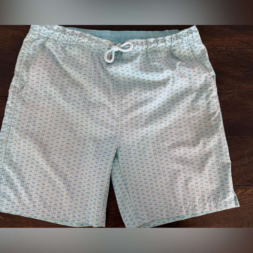 Peter Millar Light Blue Patterned Athletic Shorts - image 1